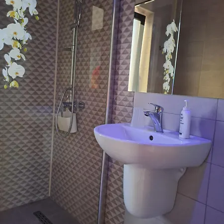 Casa Constantin Vic 3* エフォリエ・ノルド