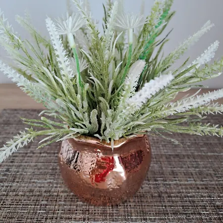 Casa Constantin Vic Gæstehus 4*