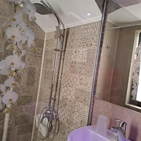 ゲストハウス Casa Constantin Vic エフォリエ・ノルド