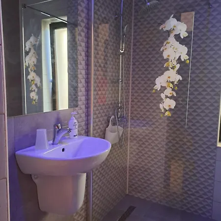 Casa Constantin Vic Pensionat