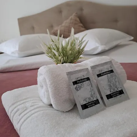 Pensionat Casa Constantin Vic 4*